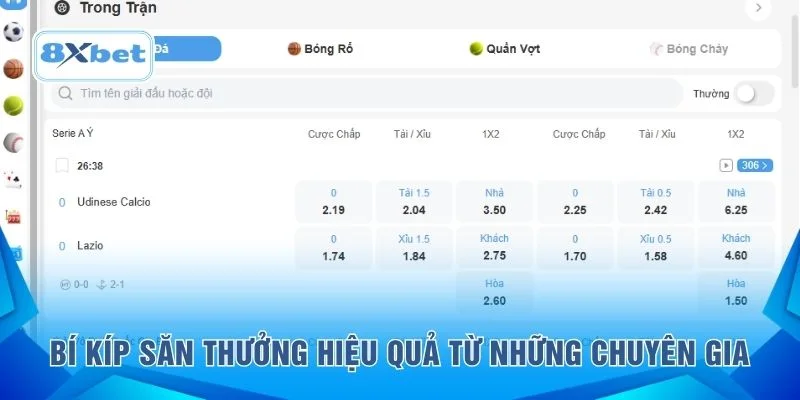 Bí kíp săn thưởng hiệu quả từ những chuyên gia