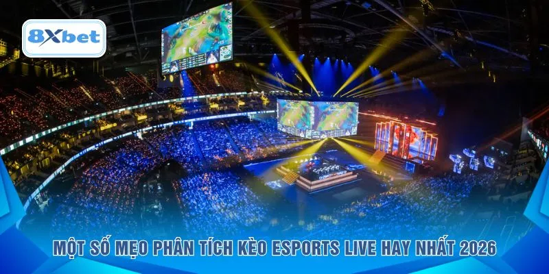 Một số mẹo phân tích kèo esports live hay nhất 2026
